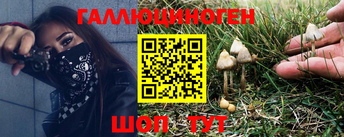 Галлюциногенные грибы Psilocybine cubensis Трёхгорный